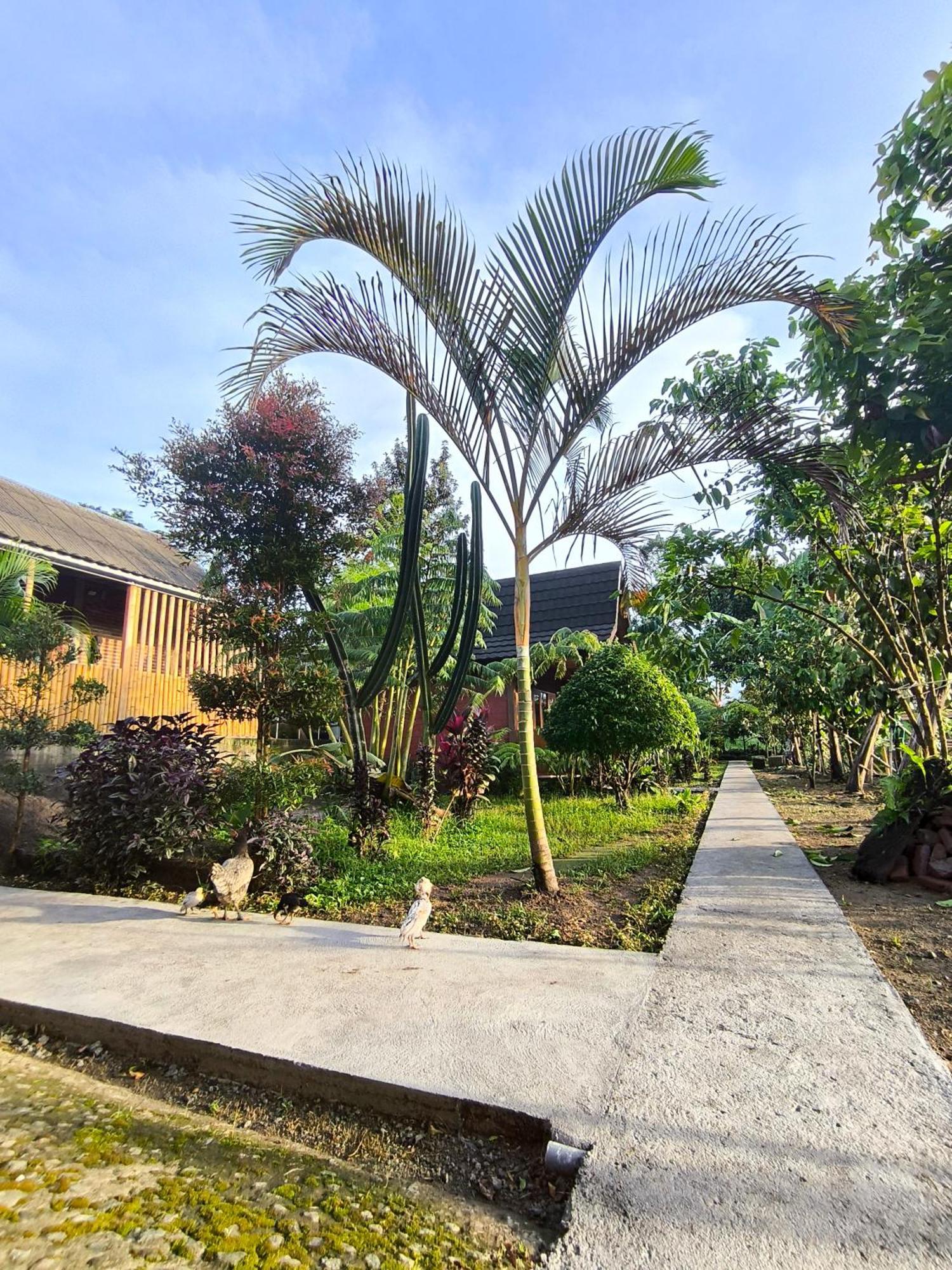 Tetebatu Valley Bungalows Luaran gambar